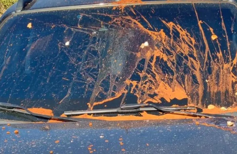 MEC: Juiz que mandou prender pastor Milton Ribeiro é alvo de ataque