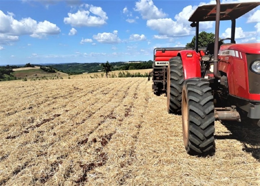 APOIO: Pequeno produtor rural terá mais suporte, diz presidente do BB