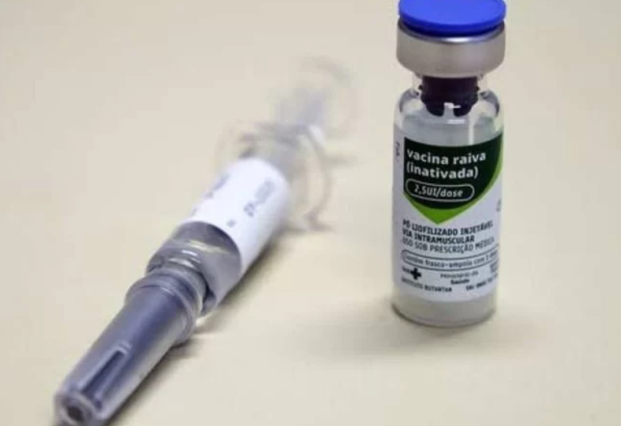 CÃES E GATOS: Mortes provocadas por raiva humana acendem alerta no Brasil