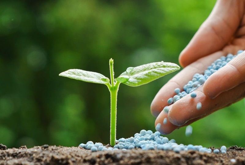 FERTILIZANTES: Comissão da Câmara aprova Proposta para investigar aumento do preço