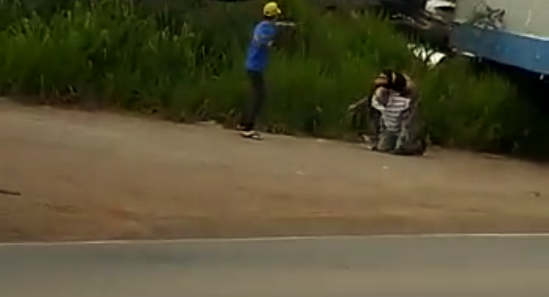 SELVAGERIA: Antidemocráticos agridem motorista e destroem caminhão na BR-364