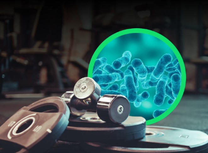 ALERTA DE CUIDADO: Pesos de academia tem 362 vezes mais bactérias que vaso sanitário