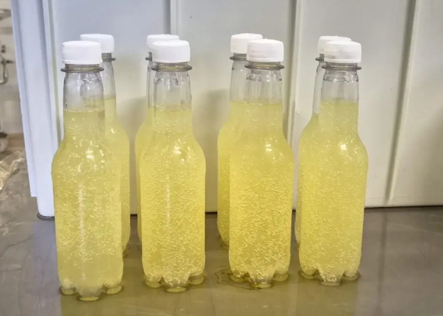 TESTE DE VALIDAÇÃO: Refrigerante de soro de leite surge como nova bebida