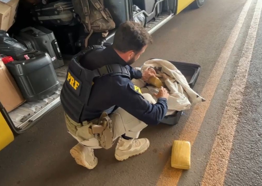 TRÁFICO: PRF apreende cerca de 20 kg de skunk em ônibus na BR-364