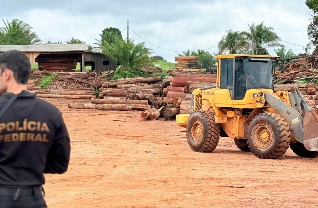 FISCALIZAÇÃO: Polícia Federal e Ibama realizam operação conjunta em madeireiras