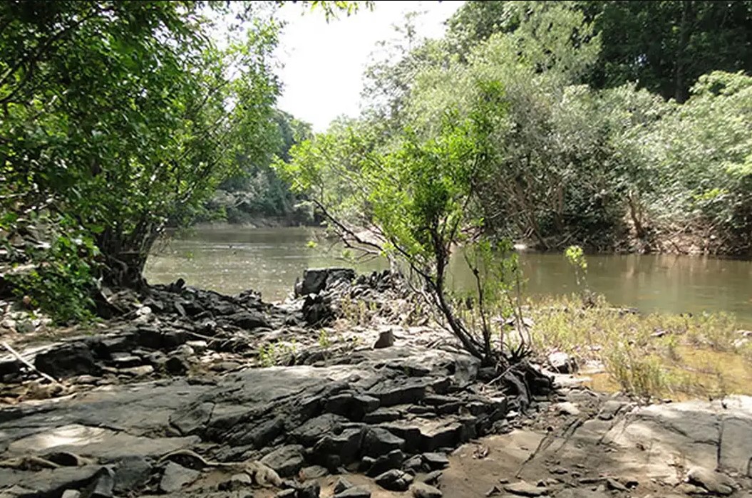 AMAZONAS: Governo lança edital para concessão da Flona do Jatuarana