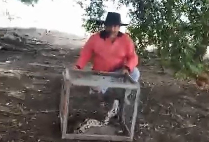 VÍDEOS: Agricultor e neta de 08 anos capturam grande jiboia que comia galinhas em sítio