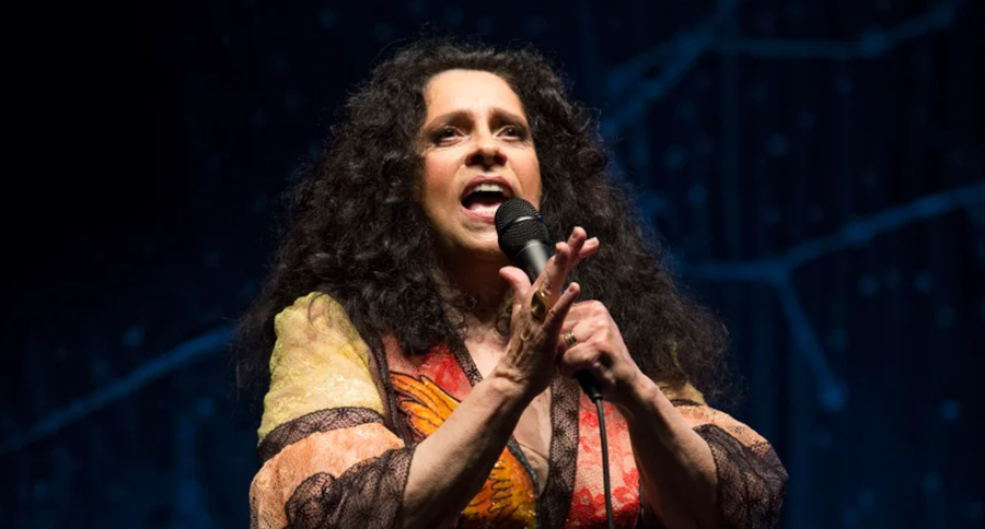 TRISTEZA: Morre a cantora Gal Costa, aos 77 anos, uma das grandes vozes da MPB