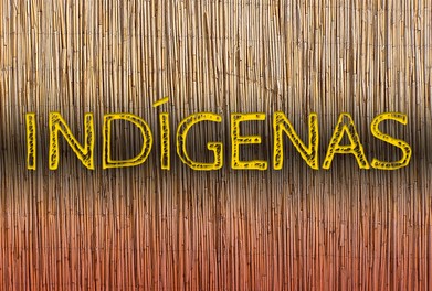 RECOMENDAÇÃO DO MPF: Professores indígenas podem receber gratificação por titulação