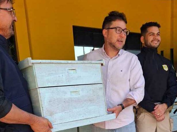 POLINIZAÇÃO: TJRO destina madeiras apreendidas em crimes ambientais para produção de mel
