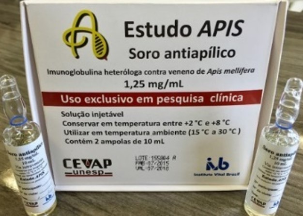 ANTIAPÍLICO: Soro contra veneno de abelhas entra na fase final de testes