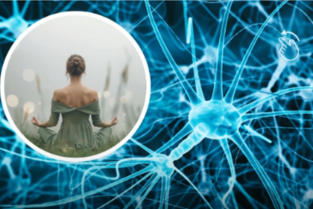 PSICOLOGIA: A forma mais elevada de paz é não ter desejo de ser compreendido