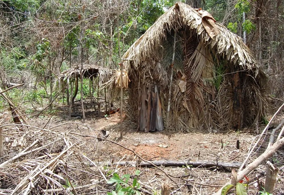 JUSTIÇA: Futuro da área onde viveu 'Índio do Buraco' é alvo de disputa judicial