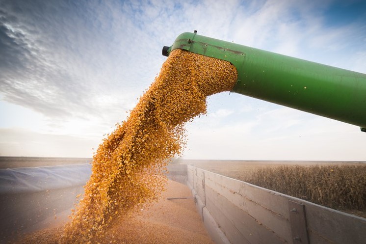 PRODUÇÃO: Conab já está no campo coletando dados do 12º levantamento da safra