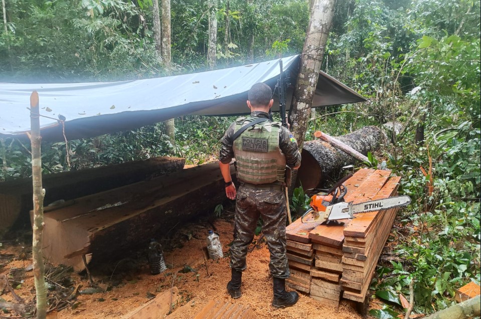 MEIO AMBIENTE: Governador reforça compromisso com a preservação ambiental em RO