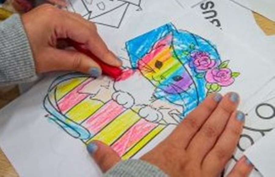 'FECHA LAUDO': Ação realiza 18 diagnósticos em primeiro dia de atendimento em PVH