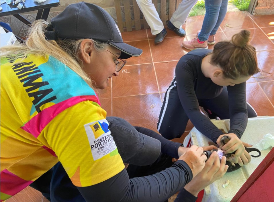 MÁRCIA SOCORRISTA: Castra Móvel desce o Baixo Madeira e vereadora destaca importância dos serviços