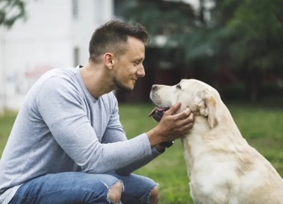 CONEXÃO: O que acontece quando olhamos fixamente nos olhos de um cachorro