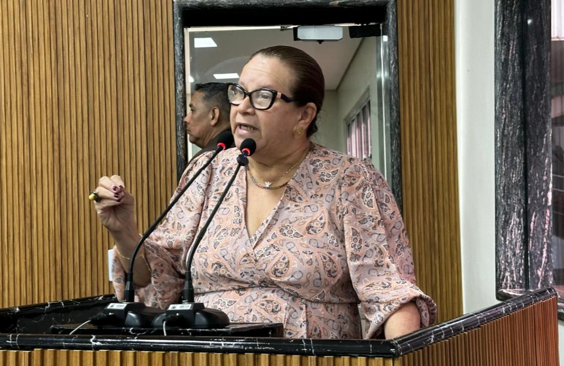 ELLIS REGINA: Vereadora rejeita justificativas de crise para adiar atendimento às pautas da categoria