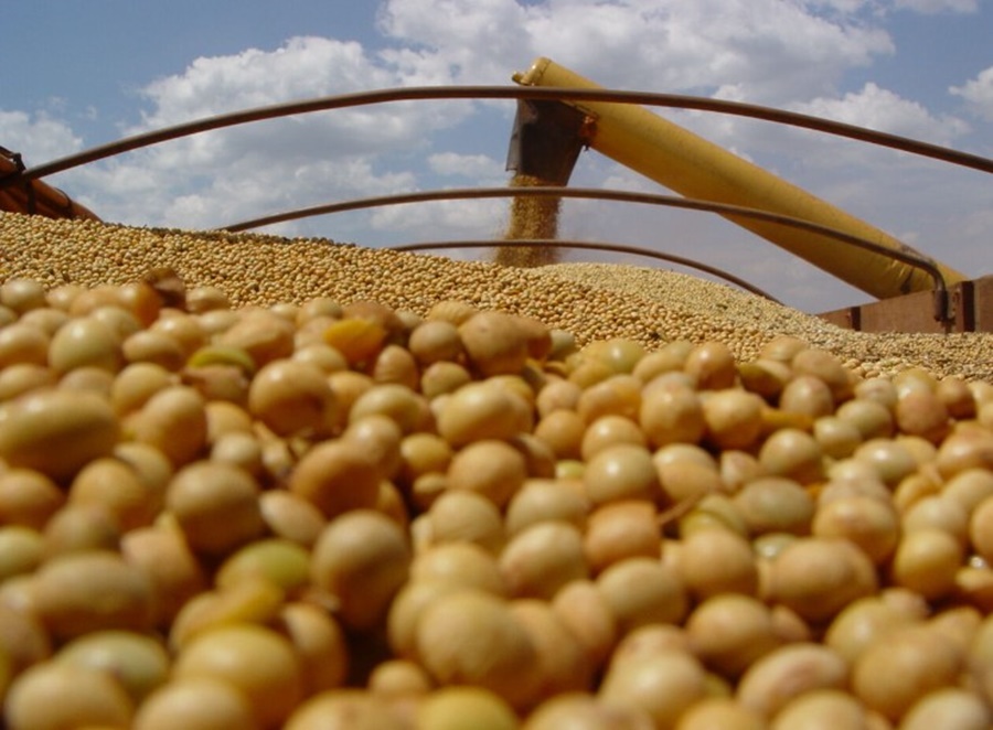 MERCADO: Soja despenca mais de 4%, acompanhando demais commodities