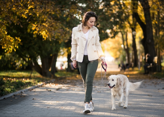VIVEM MAIS: Ter um cachorro pode aumentar a atividade física e melhorar a saúde do coração