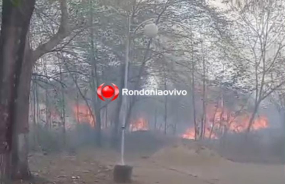 VÍDEO: Fogo atinge matagal próximo a condomínio e assusta moradores