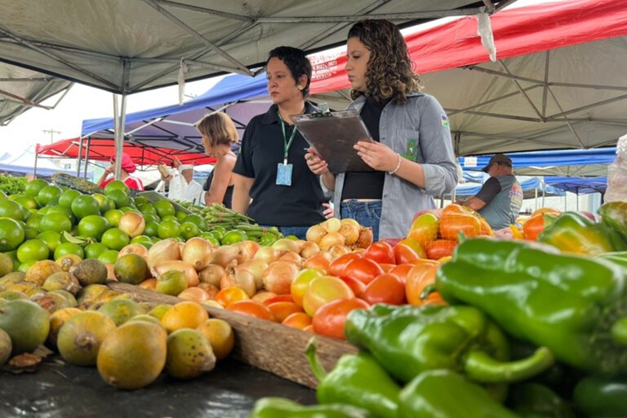 AGRICULTURA FAMILIAR: Programa impulsiona a agroindústria e fortalece setor agrícola