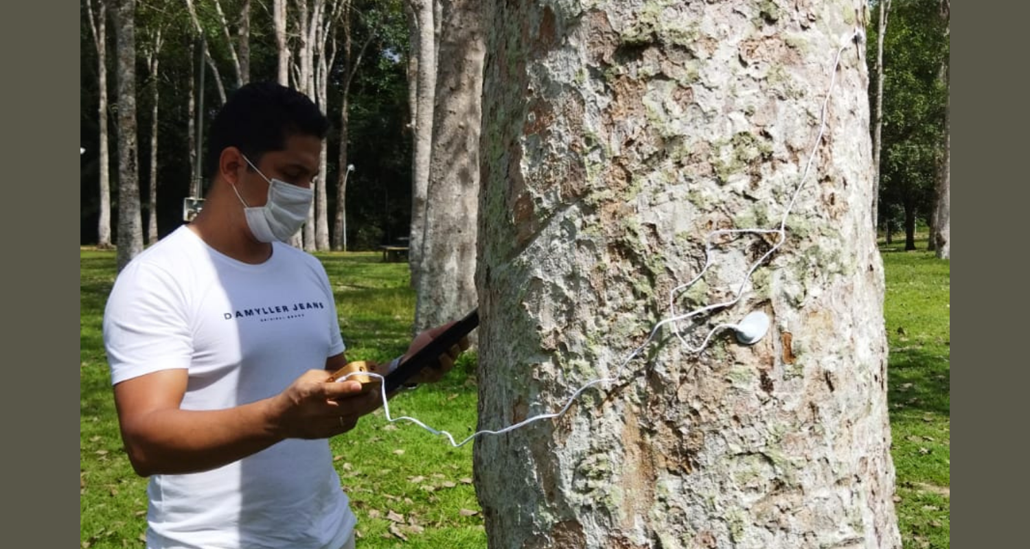MAPA SONORO: Pesquisadores disponibilizam catalogação de paisagens sonoras da cidade de Porto Velho