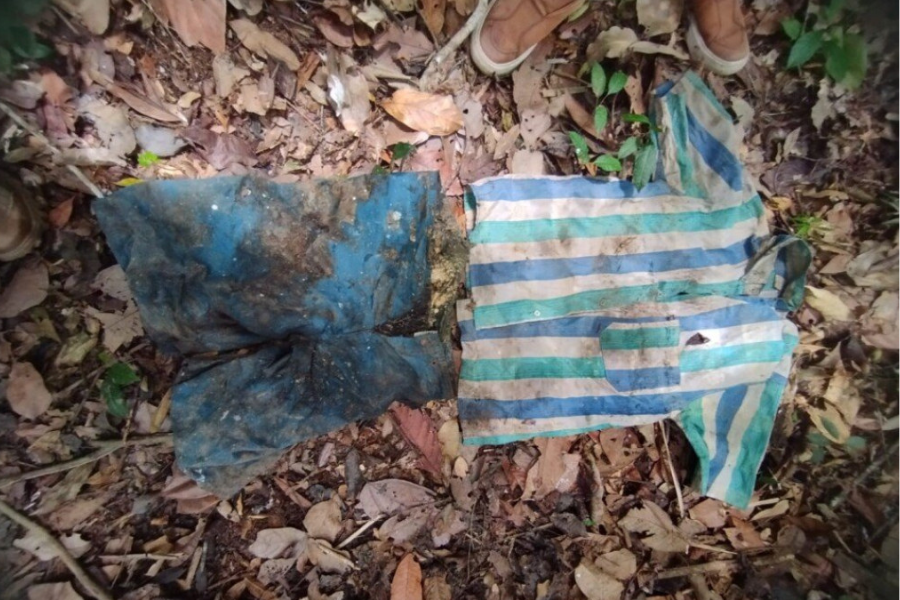 CRIME: Ossada humana é encontrada em matagal: Polícia Civil investiga