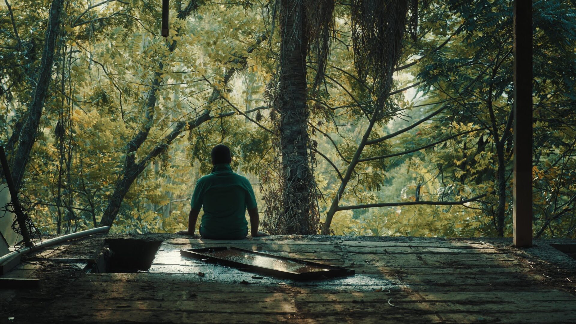 SESC: Mostra de Cinema e Direitos Humanos exibe filme para o público infanto-juvenil