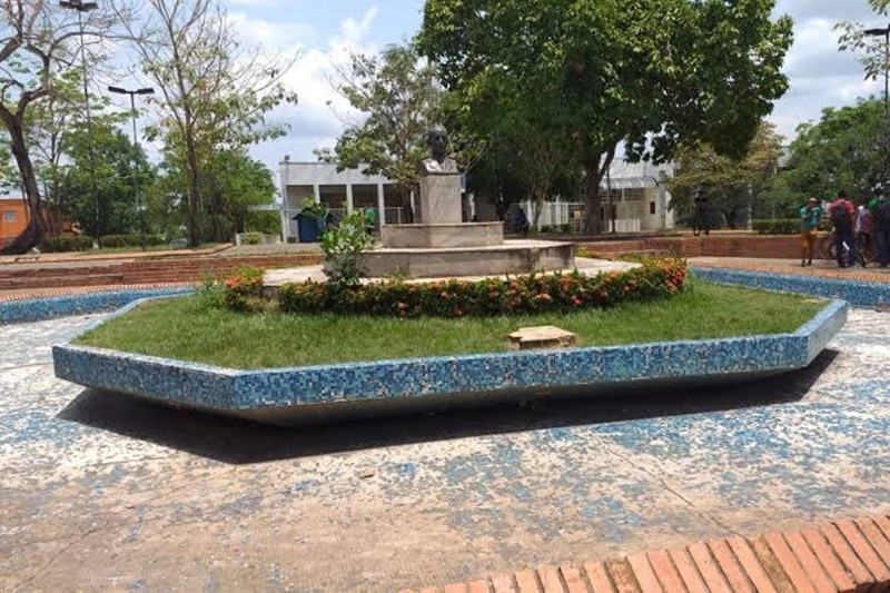 CRUELDADE: Pessoas denunciam que animais são envenenados na Praça do Baú