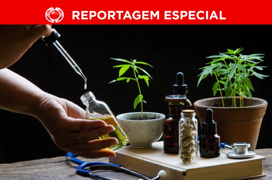 BATALHA: Famílias de RO lutam para ter acesso a medicamentos feitos à base de maconha   