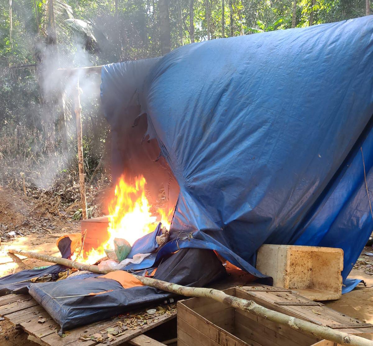 HARD INCURSION: Operação da PF combate desmatamento em Terras Indígenas