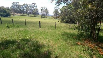 BRIGA POR TERRA: Adolescente sofre atentado a bala em chácara na BR-364