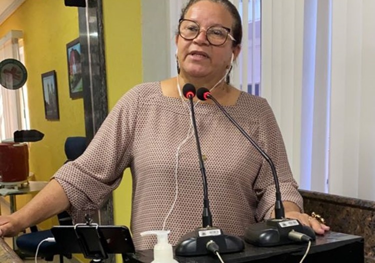 AUTORIZADO: Câmara aprova PL de Ellis Regina que cria Programa Permanente de Reforço Escolar