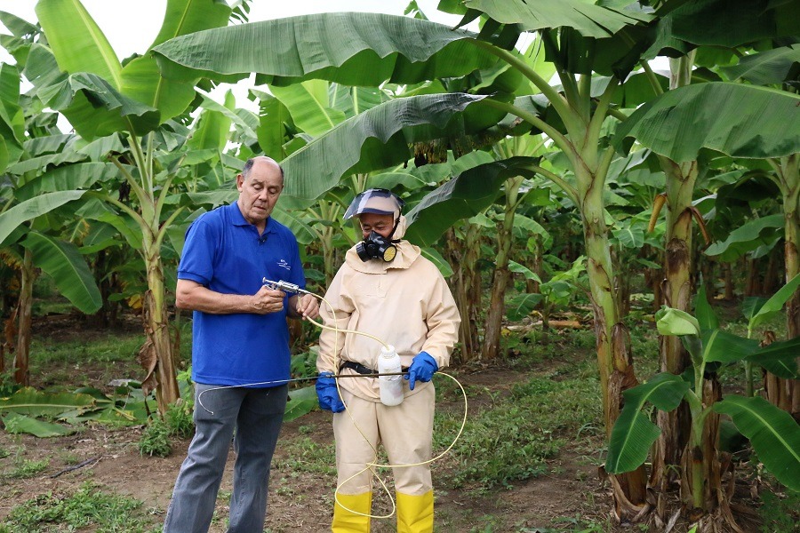 EMBRAPA: Pesquisador da Sigatoka Negra receberá prêmio em Porto Velho