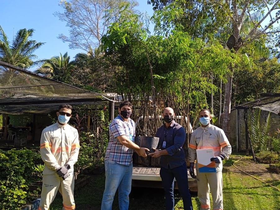 NATUREZA: Energisa recebe ISO 14001:2015 por redução de impacto ambiental