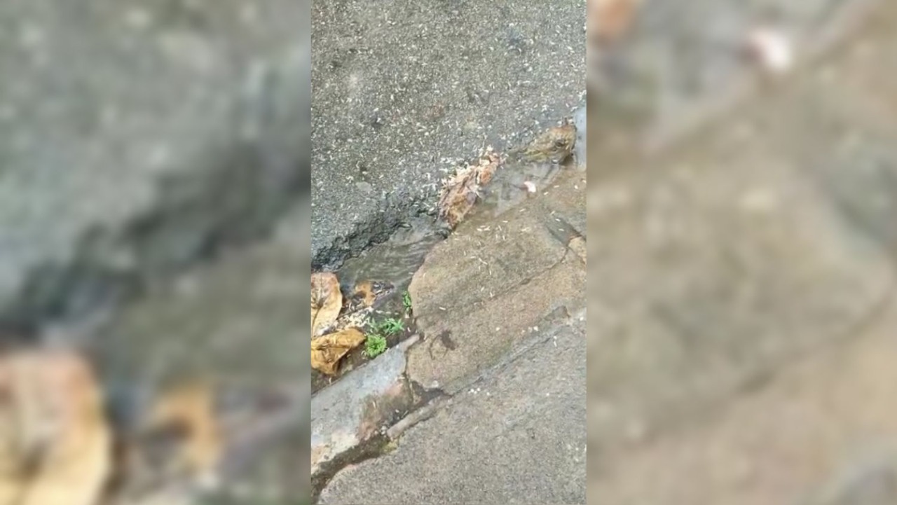 NOJEIRA: Jornalista é intimidada após gravar ‘tapurus’ no campo da 17ª Brigada