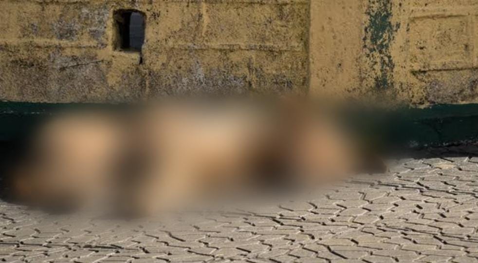 CRUELDADE: Homem é preso acusado de matar o cachorro da vizinha em residência 