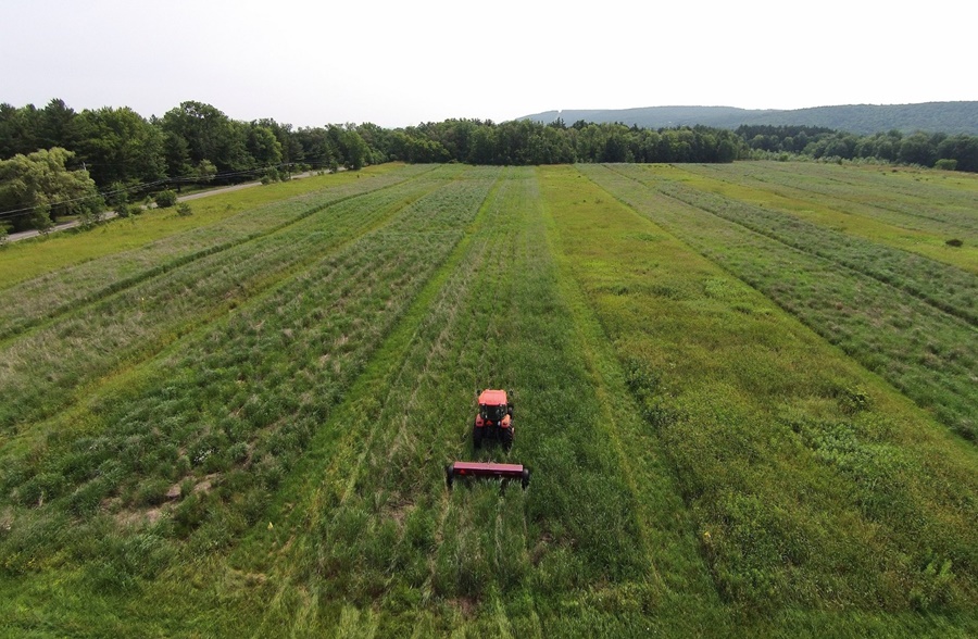 AGRICULTURA: Estudo aponta desafios do seguro rural em meio a mudanças climáticas