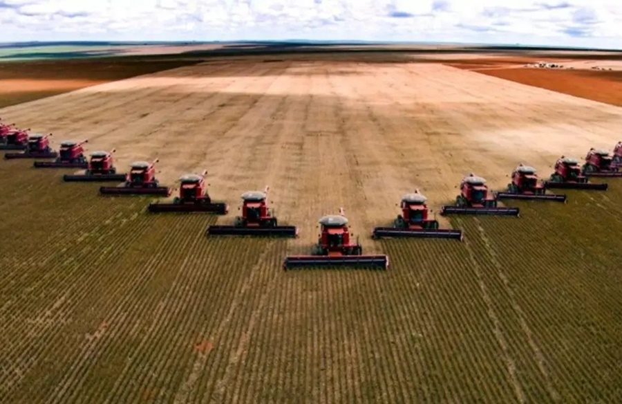 STF: Suspensas compras de terras por brasileiros com sócio estrangeiro