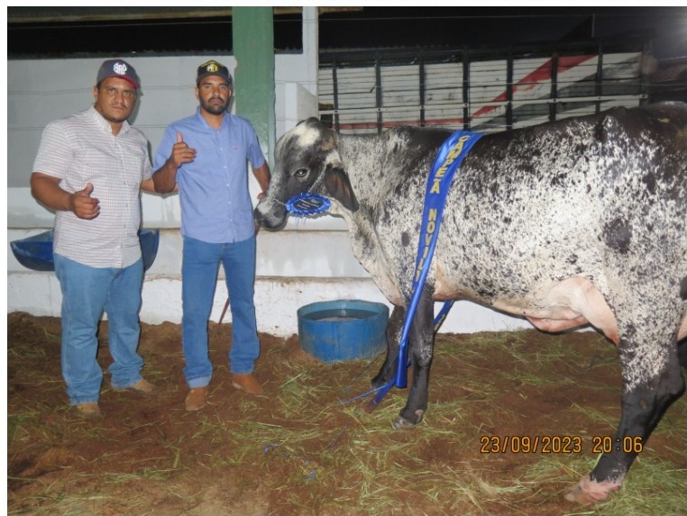 EXPONORTE 2023 -  Concurso Leiteiro com participação de produtores de quatro municípios
