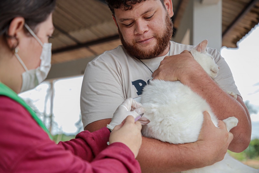 CÃES E GATOS: Prefeitura leva vacinação antirrábica à zona sul neste sábado (20)