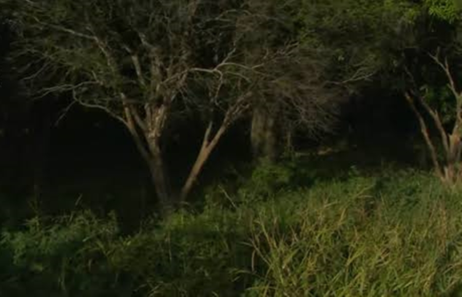 NA HUMAITÁ: Trabalhador é agredido e assaltado por dupla escondida em matagal