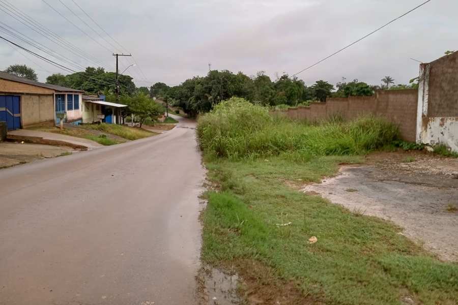 SUFOCO: Mato e falta de acostamento colocam população em risco na estrada da Coca-Cola