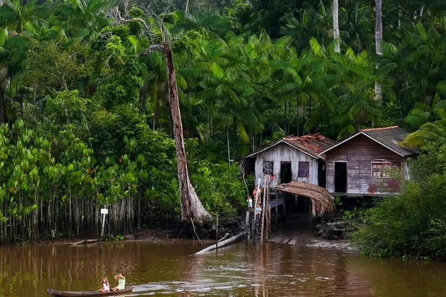 SAÚDE: USP realiza projeto no Baixo Madeira e procura pesquisadores interessados