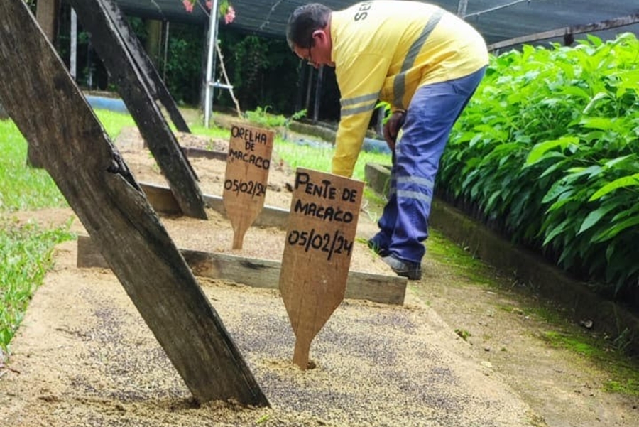 INTERCÂMBIO AMBIENTAL: Técnicos municipais visitam Universidade Federal do Amazonas
