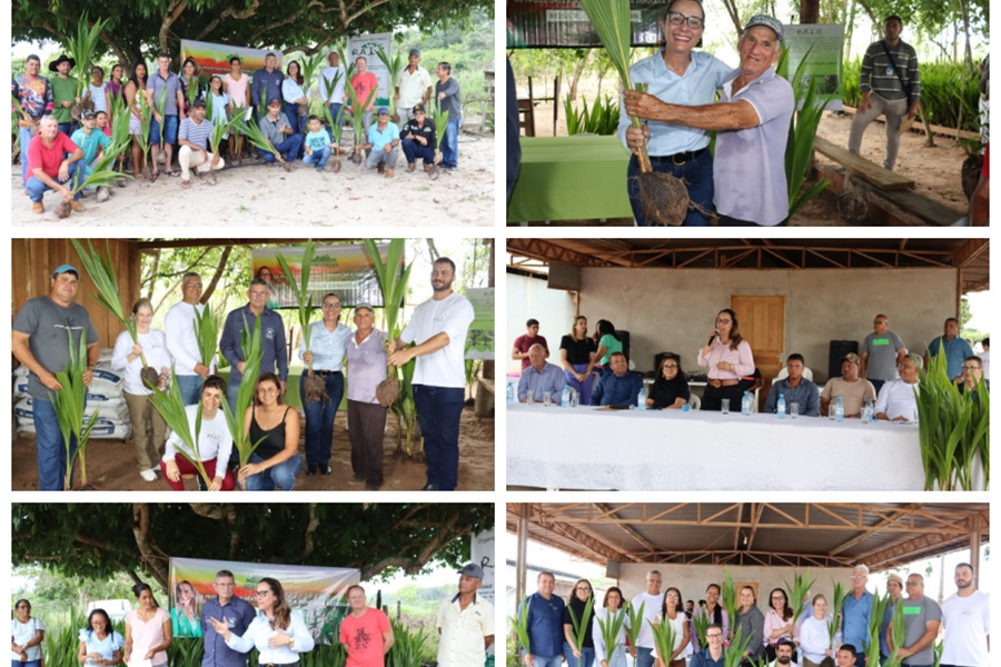 ROSANGELA DONADON: Deputada beneficia mais 4 municípios do Cone Sul com projeto 'Mudando Histórias'