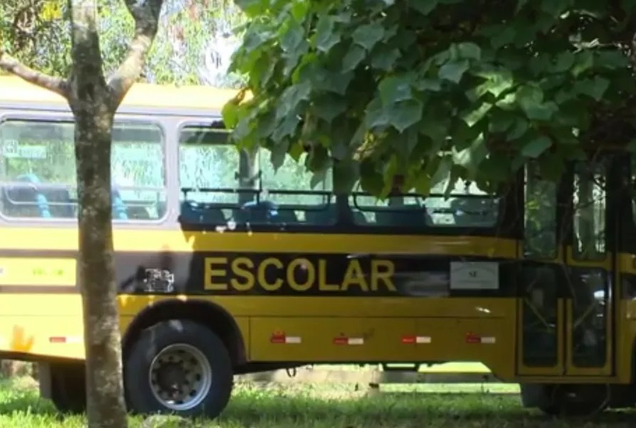 PEDIDO DE PROVIDÊNCIA: Crianças do Distrito de Araras em Nova Mamoré estão sem transporte escolar