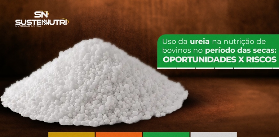 OPORTUNIDADE X RISCOS: Uso da ureia na nutrição de bovinos no período das secas